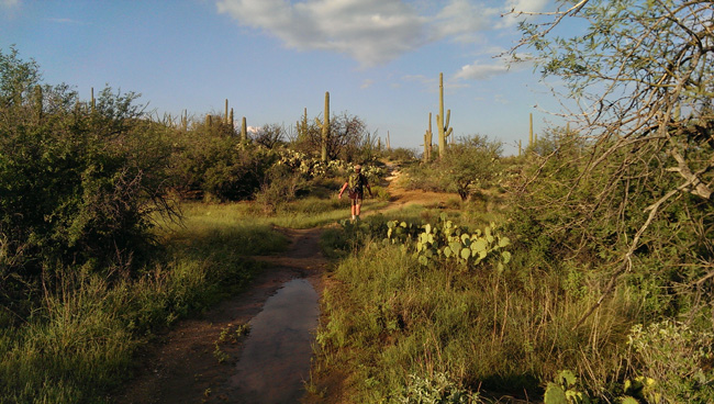 hiking