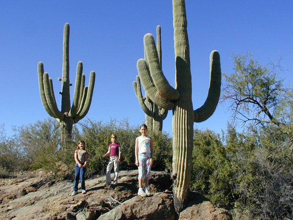 hiking